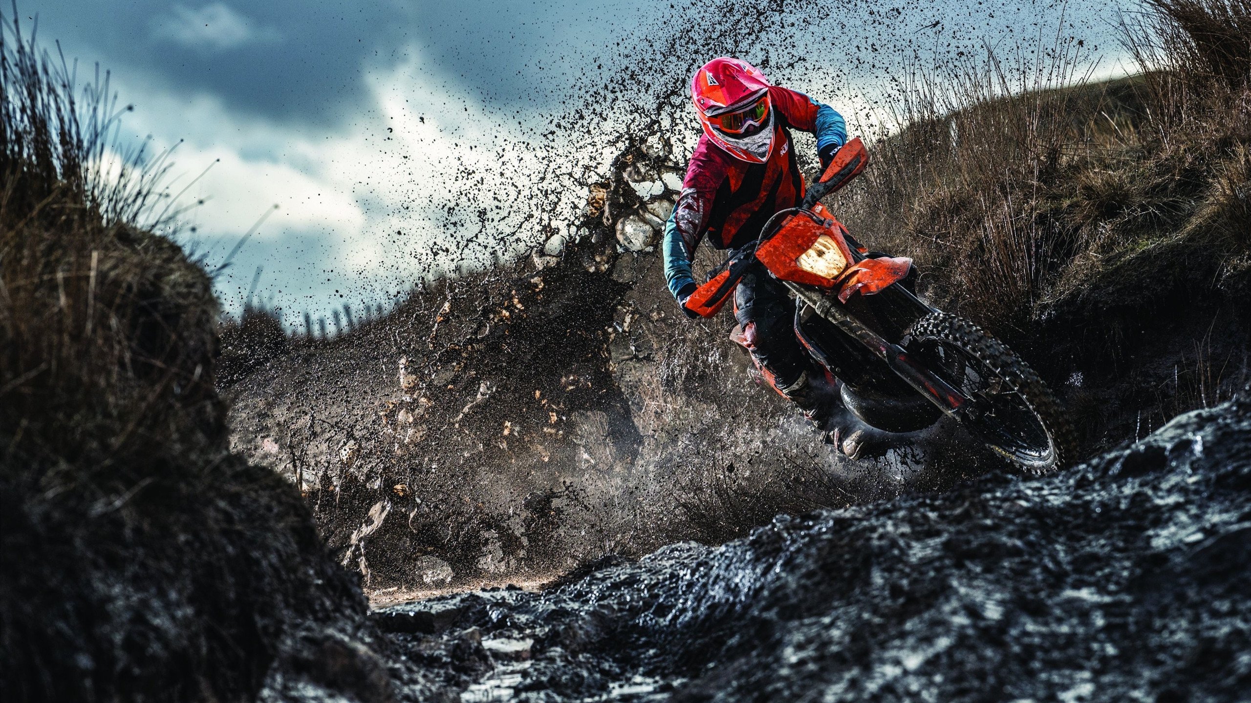 哥伦比亚马术协会举办马匹护理培训班，提高骑手护理技能。，哥伦比亚马林