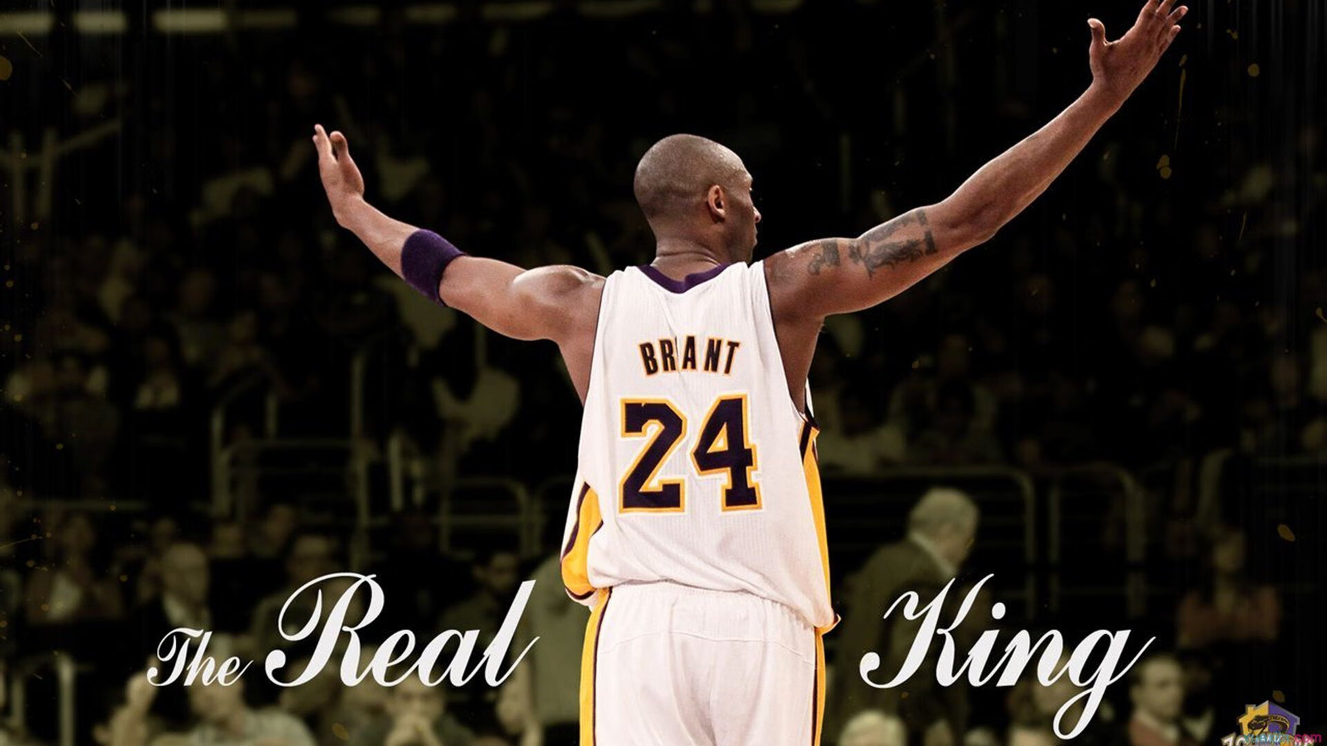 球队粉丝与球员的“温馨”互动瞬间，球星的粉丝叫什么